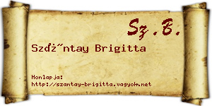 Szántay Brigitta névjegykártya